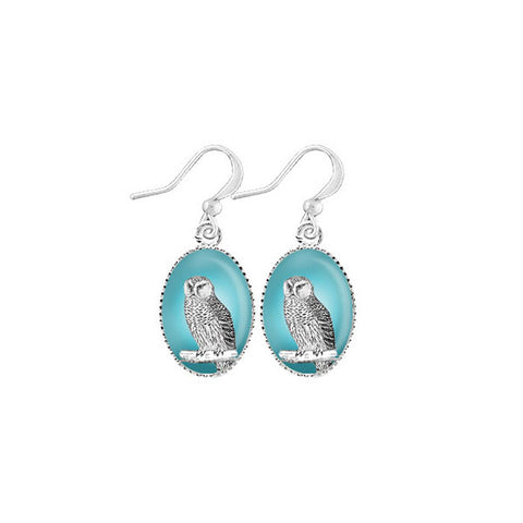 Online shopping for LAVISHY cute & dainty rhodium plated snowy owl earrings. Fun to wear, make a playful gift for family & friends. Come with FREE gift box. Wholesale at www.lavishy.com for gift shop, clothing & fashion accessories boutique, book store in Canada, USA & worldwide since 2001.