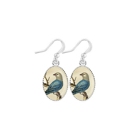 Online shopping for LAVISHY cute & dainty rhodium plated bird earrings. Fun to wear, make a playful gift for family & friends. Come with FREE gift box. Wholesale at www.lavishy.com for gift shop, clothing & fashion accessories boutique, book store in Canada, USA & worldwide since 2001.