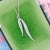 Online shopping for rhodium/gold plated Austrian crystal leaf pendant necklace. A great gift for you or your girlfriend, wife, co-worker, friend & family. Wholesale available at www.lavishy.com with many unique & fun fashion accessories.