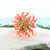 Online shopping for colorful handmade adjustable starfish ring with colorful enamel & rhinestone accents. It's a great way to add cheerful color and bohemian vibe to your everyday look as well as a great gift for your family and friends. FREE LAVISHY gift box to make gift giving easier and more fun!